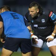 Glasgow face Zebre this weekend